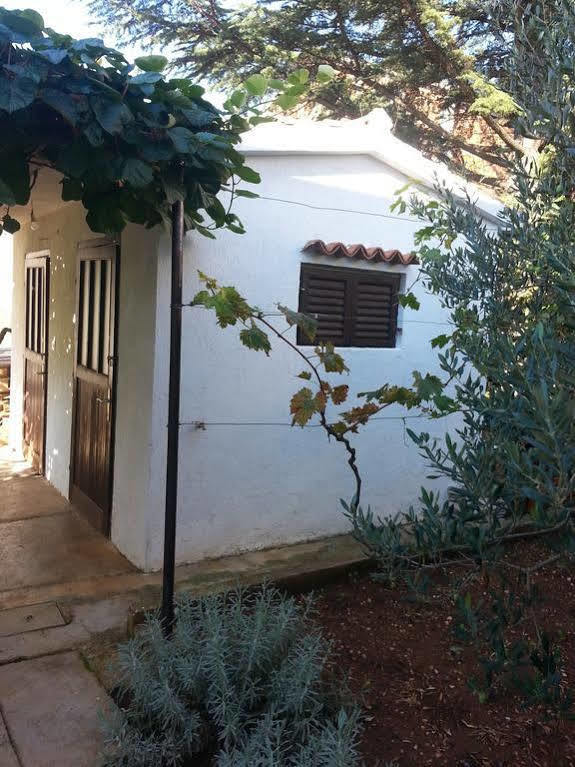 Apartments Martina Bibinje Exterior photo